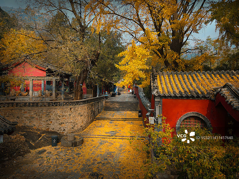 泰山斗母宫秋色图片素材