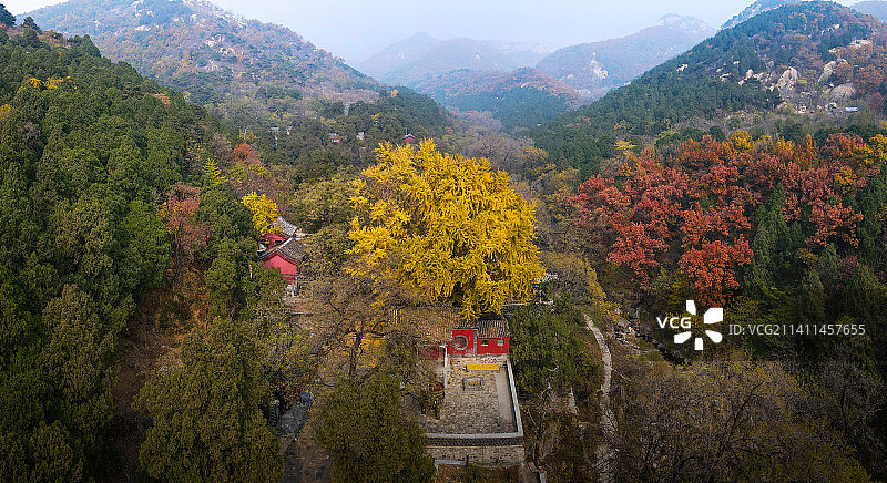 泰山斗母宫秋色图片素材