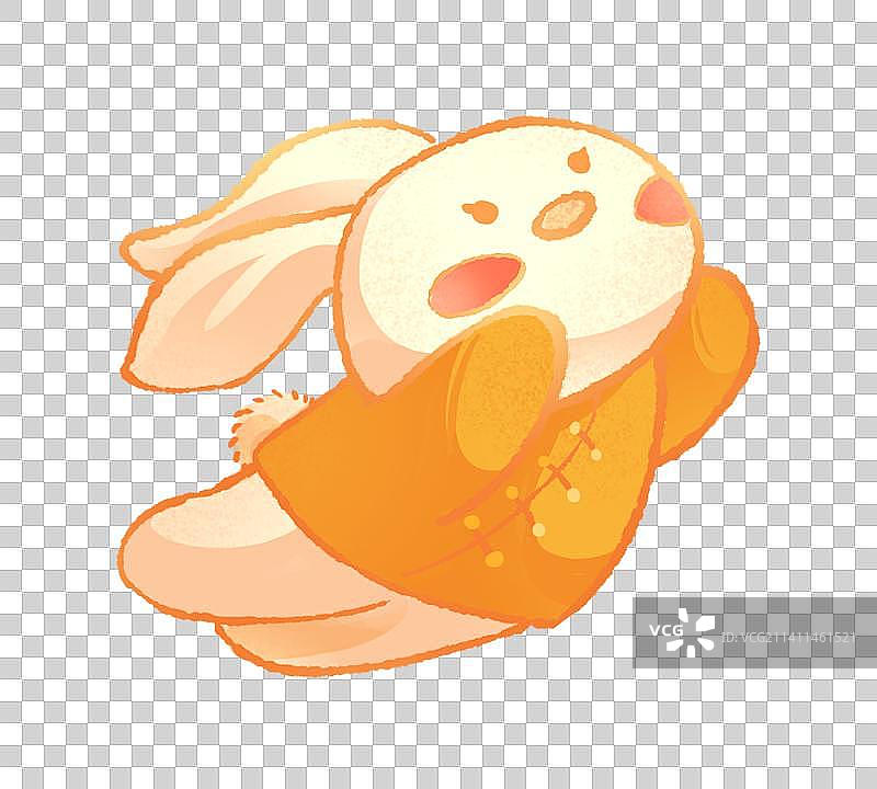 飞扑的小兔子图片素材