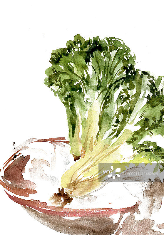 筐中的白菜图片素材