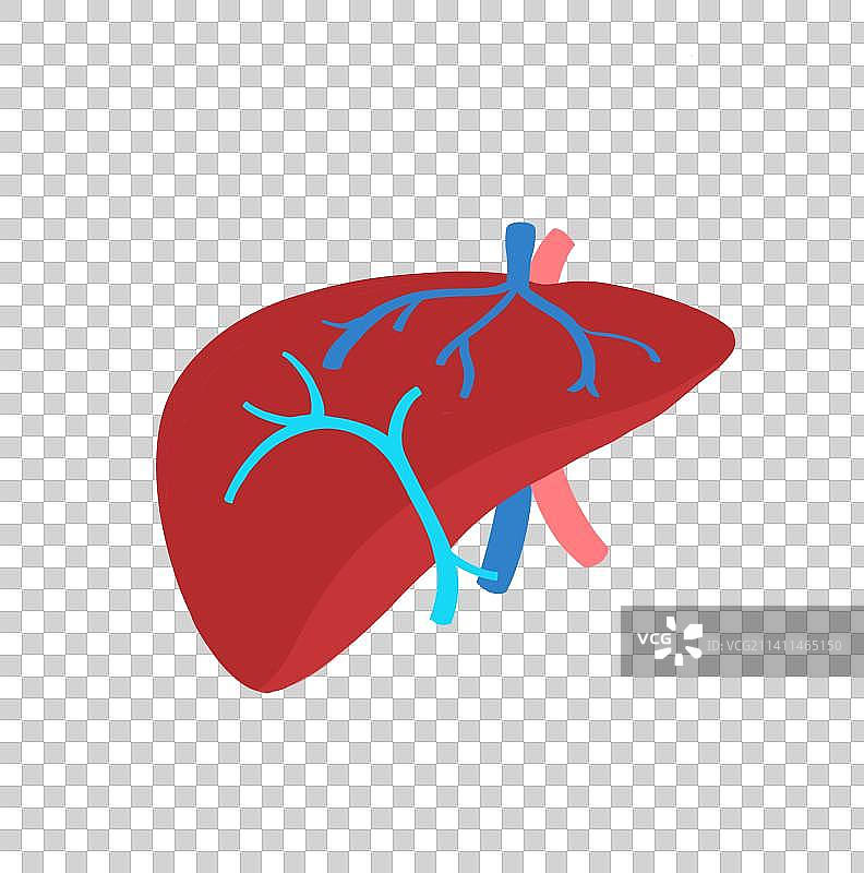 卡通内脏图片素材