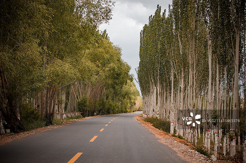 中国新疆阿克苏托木尔峰自然保护区图片素材