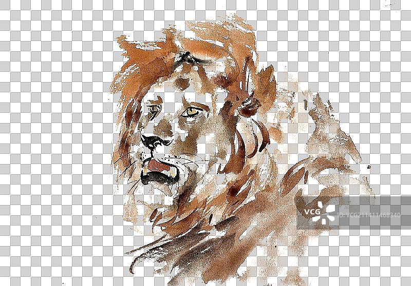 威猛的狮子图片素材