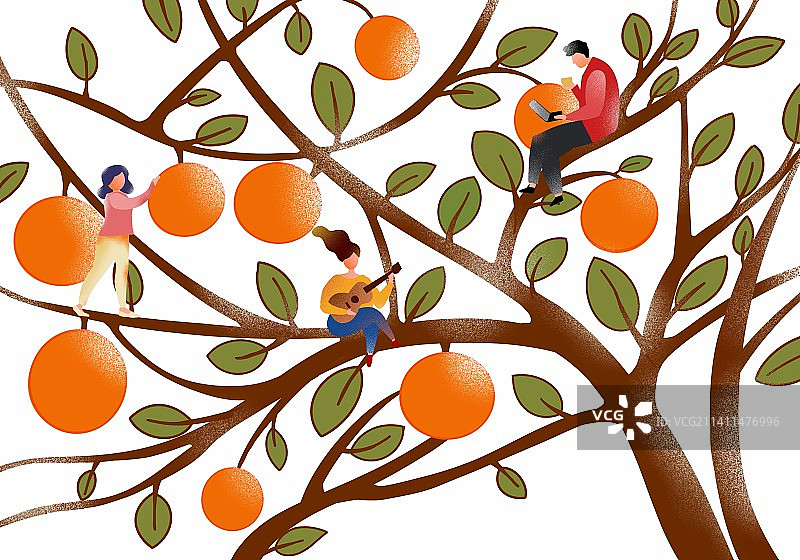 橙子插画图片素材