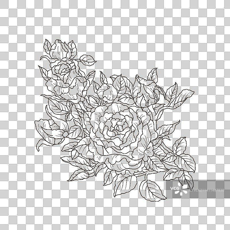 月季花线描图案图片素材