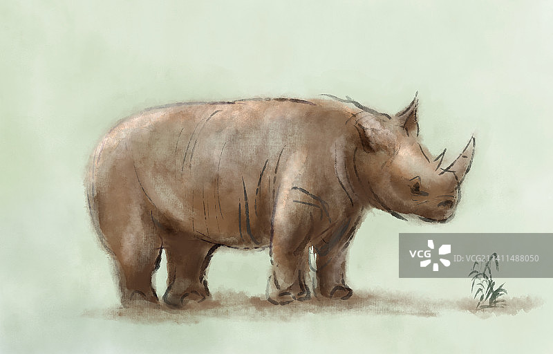 非洲犀牛草原吃草的绘画图片图片素材