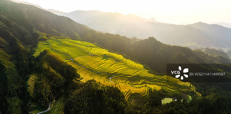 欧家梯田图片素材