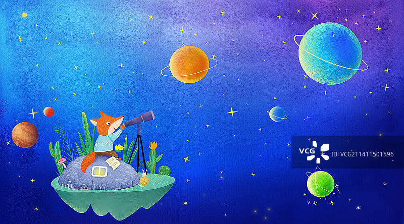 狐狸与星空图片素材