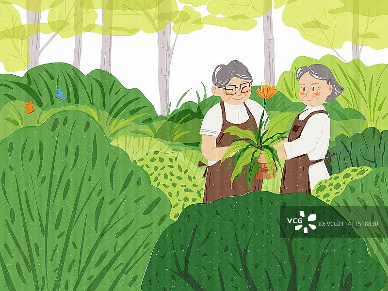 幸福的老年夫妇退休生活图片素材