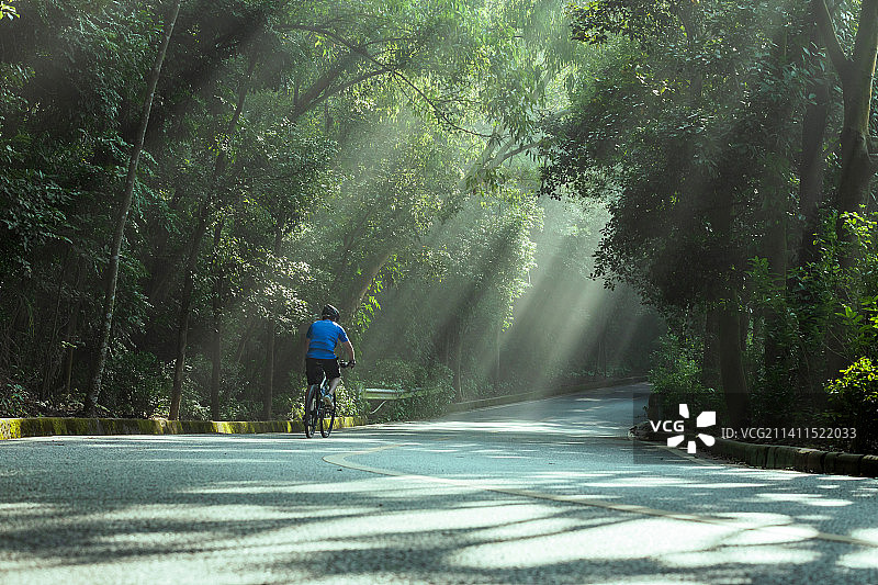 东莞大岭山森林公园丁达尔光效图片素材