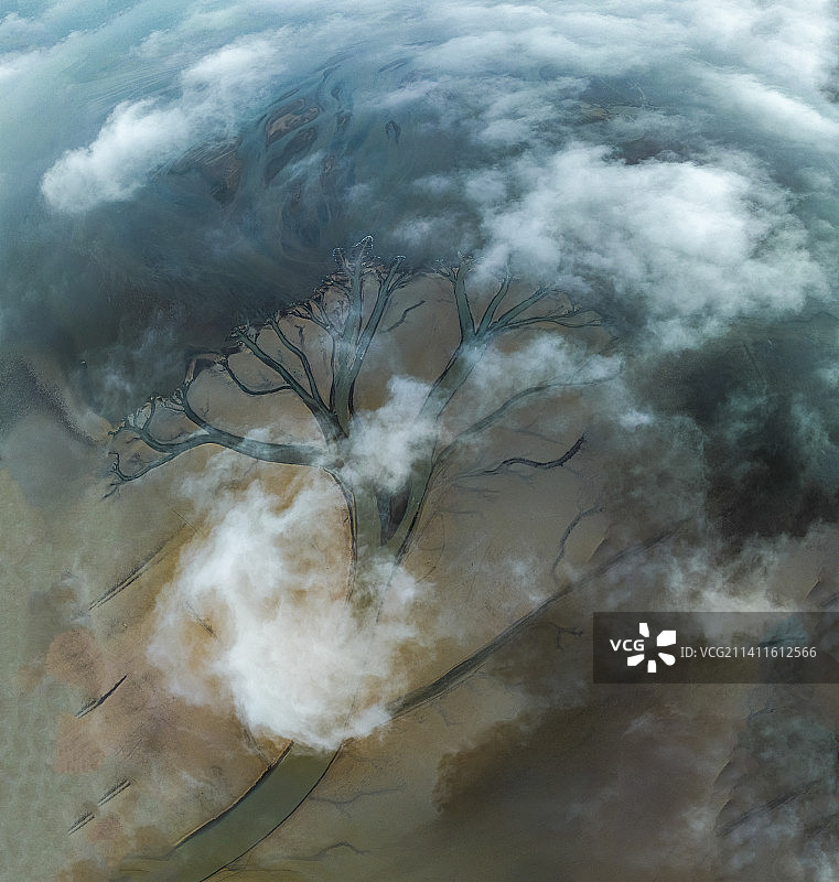 鄱阳湖云中大地之树图片素材