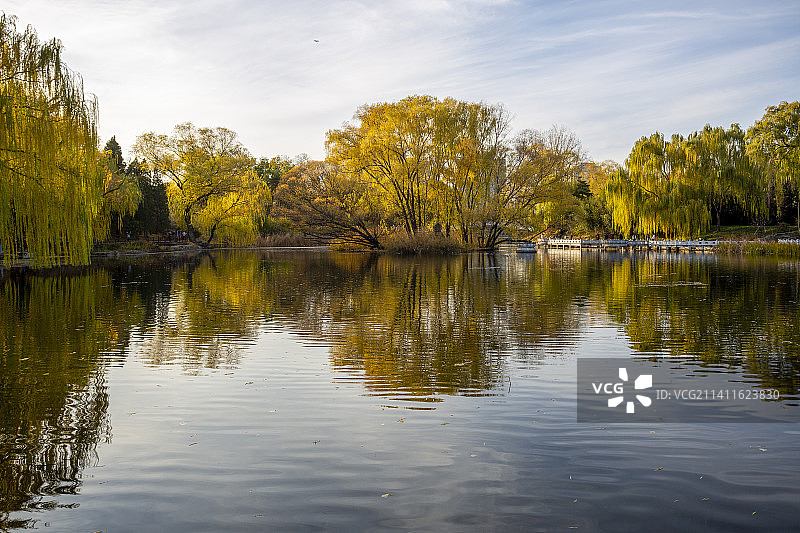 紫竹院公园秋色，倒影如画图片素材