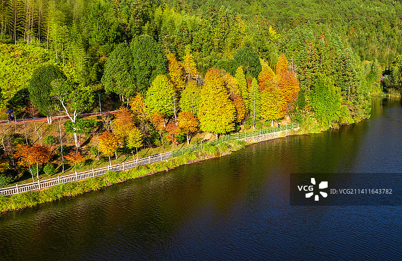 上杭古田山庄湖边秋景图片素材