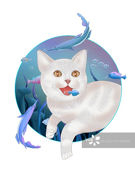 猫吃鱼图片素材