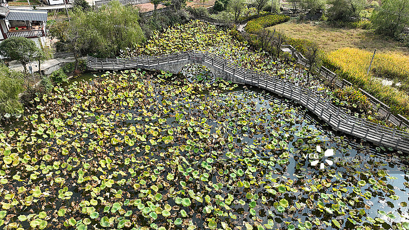 贵州省遵义市湄潭县兴隆镇龙凤村田家沟田园风光。图片素材