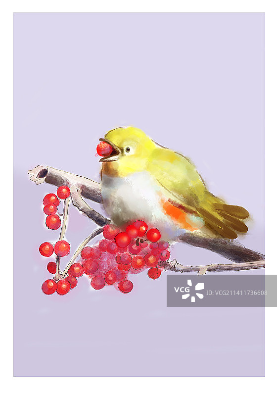 冬日肥啾图片素材