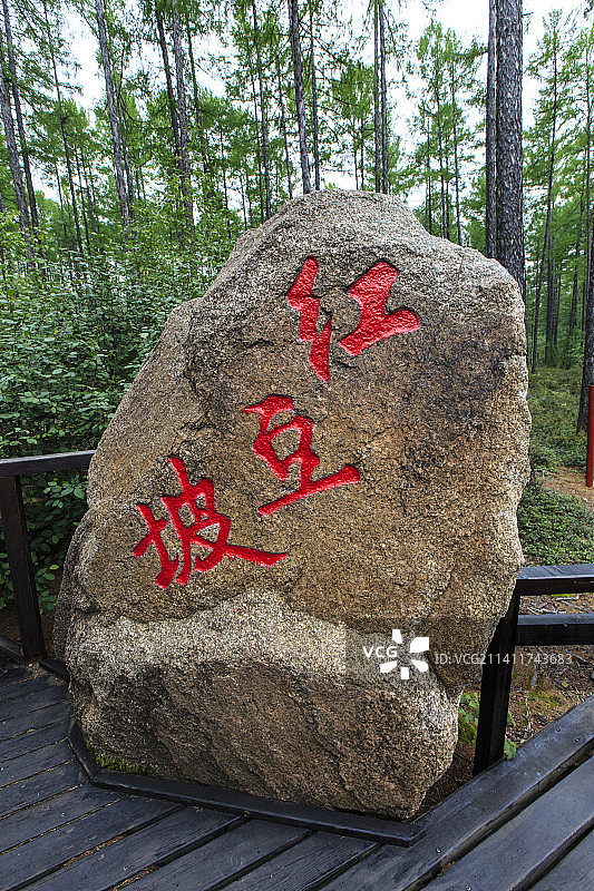 内蒙古自治区呼伦贝尔市莫尔道嘎国家森林公园：红豆坡图片素材