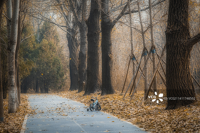 东小口森林公园图片素材