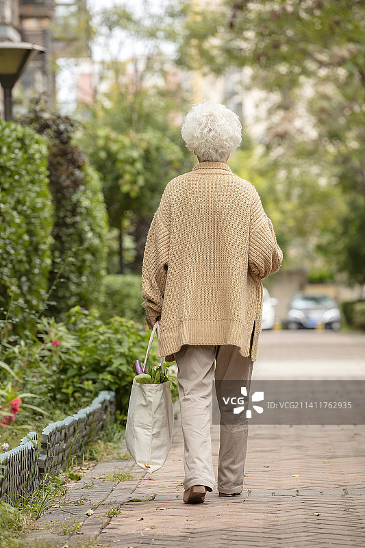 去菜市场采购的老年女士图片素材