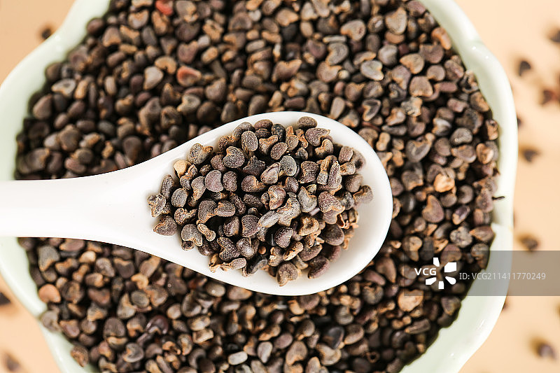 浅底上的沙苑子图片素材