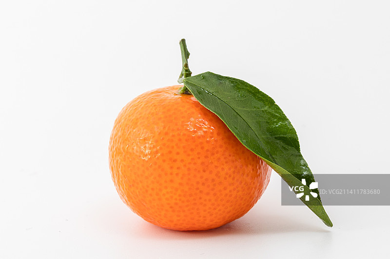 白色背景上的沙糖桔图片素材