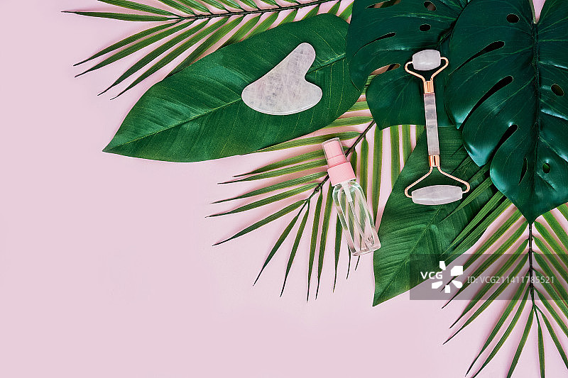 刮痧按摩器，粉色背景上的滚轮，俄罗斯图片素材