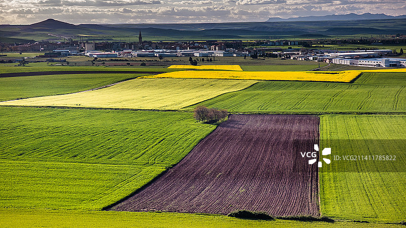 圣多明各德拉卡尔萨达田野，西班牙拉里奥哈图片素材