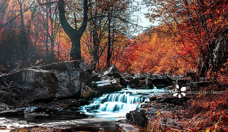 枫林谷图片素材