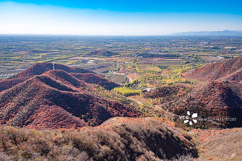 秋天北京顺义舞彩浅山漫山红叶图片素材