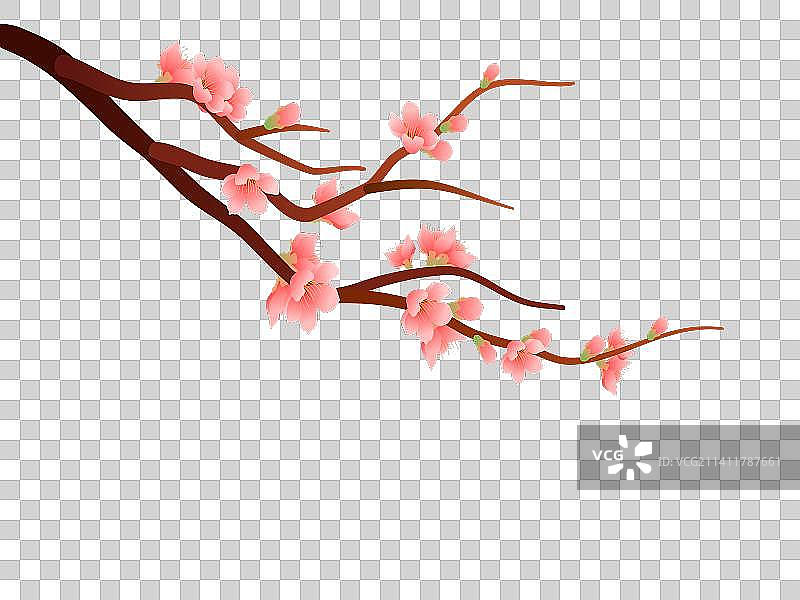 一树桃花图片素材