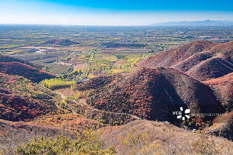 秋天北京顺义舞彩浅山漫山红叶图片素材