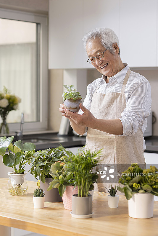 老年男子在家种植盆栽图片素材