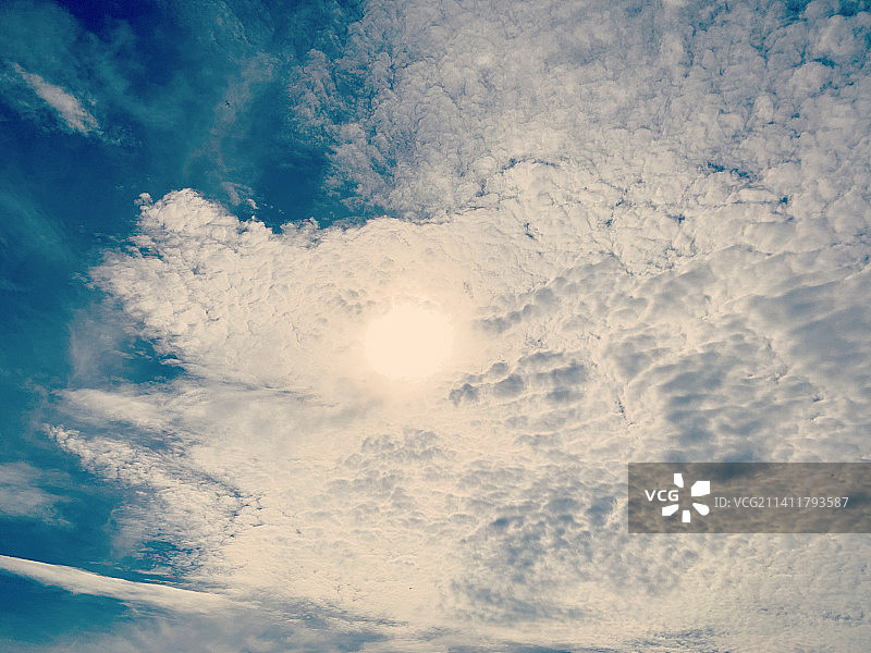 看起来像天空中巨大的鱼图片素材