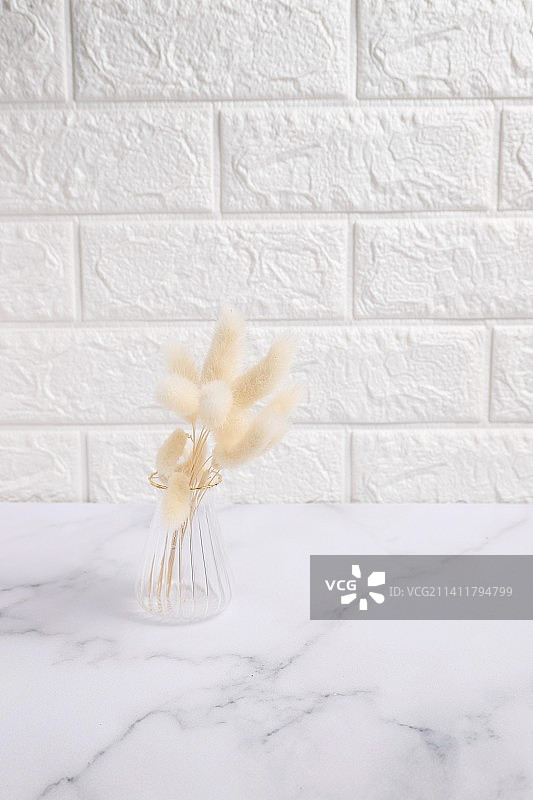 糖和盐的厨房罐子样机，西班牙图片素材