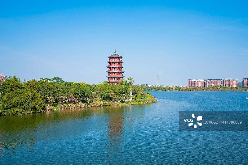中国广东省东莞市麻涌镇华阳湖湿地公园秋日晴空风景照图片素材