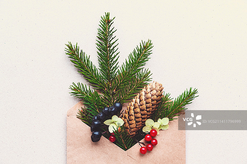 信封中的圣诞树枝，零浪费DIY圣诞装饰设计，留白，法国巴黎图片素材