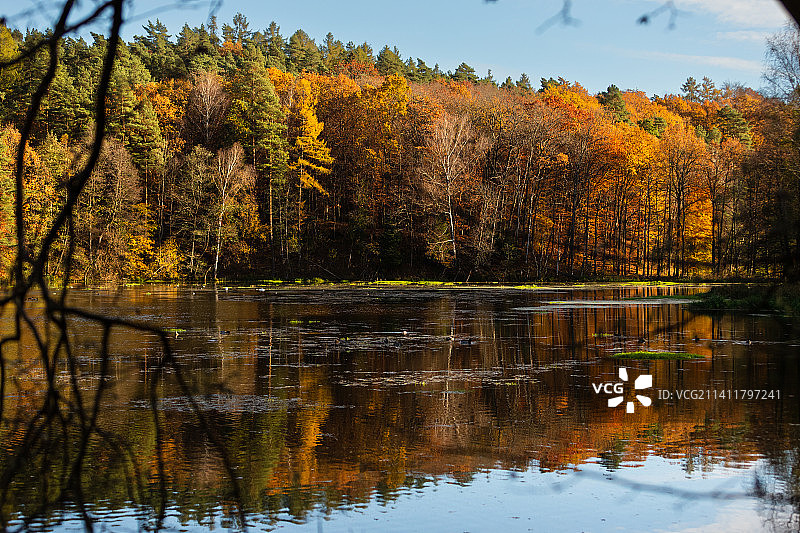 波兰奥尔什丁秋季湖泊树木景观图片素材