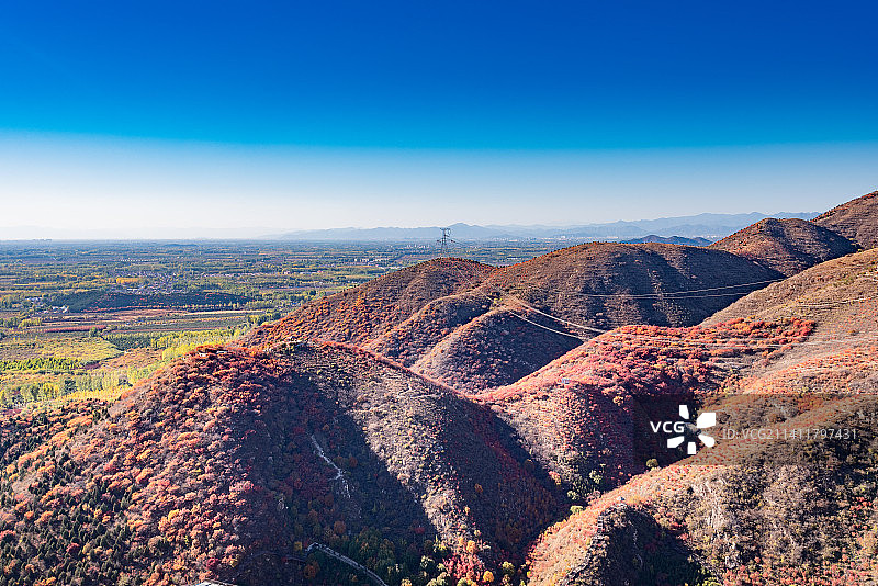 秋天北京顺义舞彩浅山漫山红叶图片素材