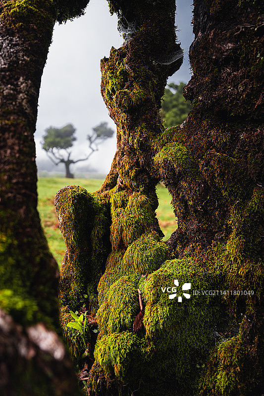 葡萄牙马德拉山海日落景色图片素材