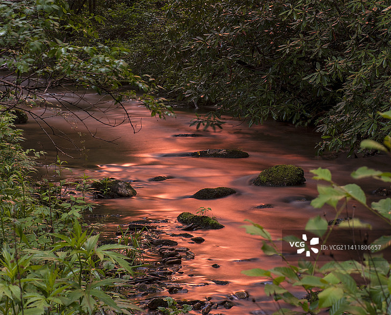 皮斯加国家森林公园的河流高角度景观，北卡罗来纳州，美国图片素材