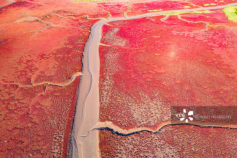 辽宁省盘锦市辽河口红海滩国家风景廊道秋季户外航拍鸟瞰图图片素材