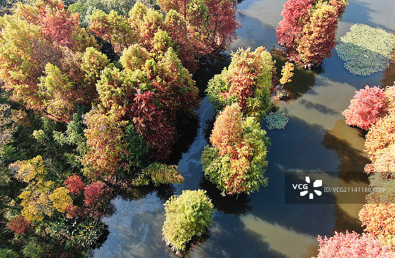 秋意正浓图片素材