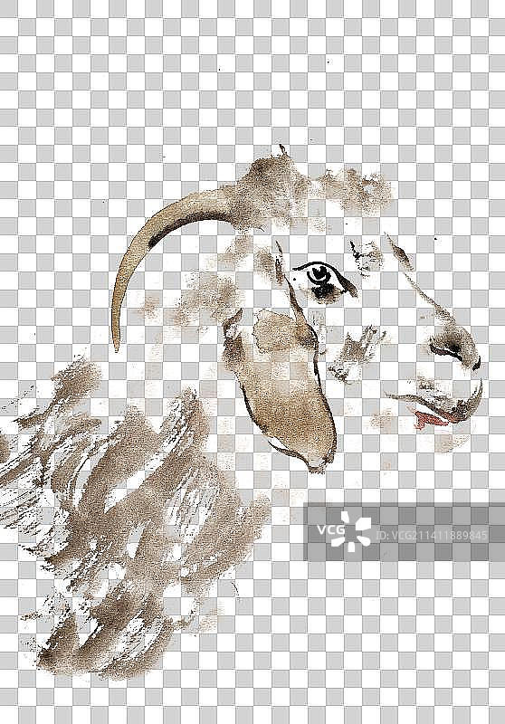 可爱的山羊图片素材