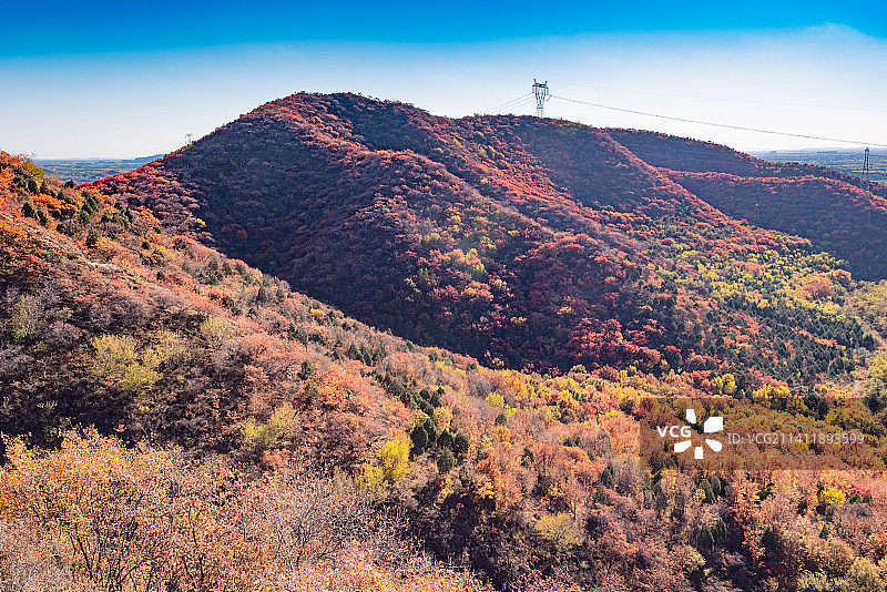 秋天北京顺义舞彩浅山漫山红叶图片素材