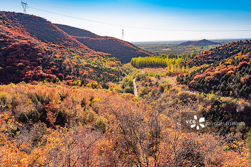 秋天北京顺义舞彩浅山漫山红叶图片素材