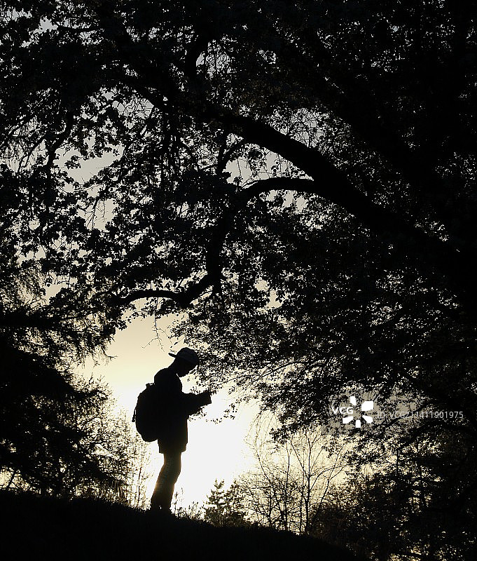 春花与书香图片素材