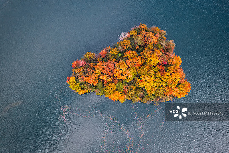白龙湖秋色 层林尽染 湖光山色为一体图片素材
