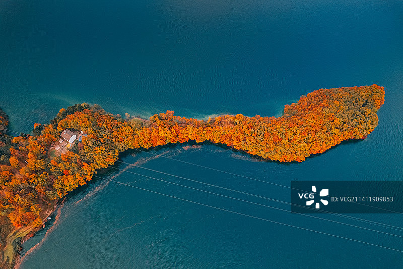 白龙湖秋色 层林尽染 湖光山色为一体图片素材
