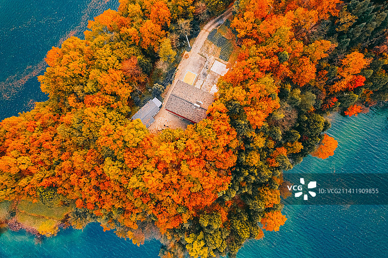 白龙湖秋色 层林尽染 湖光山色为一体图片素材