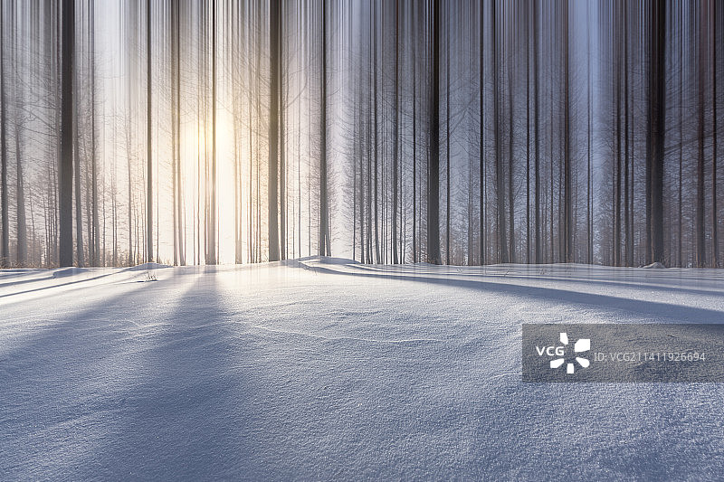 汽车广告背景图-冬天雪地上的树木--雪地背景-光影图片素材